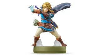 FIG: LINK - TEARS OF THE KINGDOM
