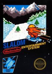 NES: SLALOM