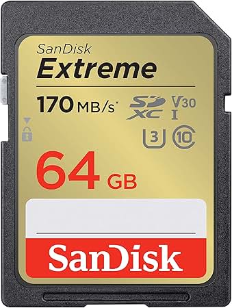 SD Memory Card - for NDS, Wii and more!