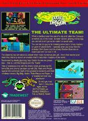 NES: BATTLETOADS AND DOUBLE DRAGON THE ULTIMATE TEAM