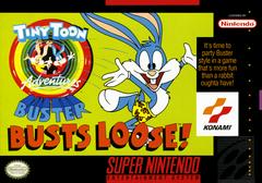 SNES: TINY TOON ADVENTURES BUSTER BUSTS LOOSE