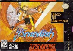 SNES: BRANDISH