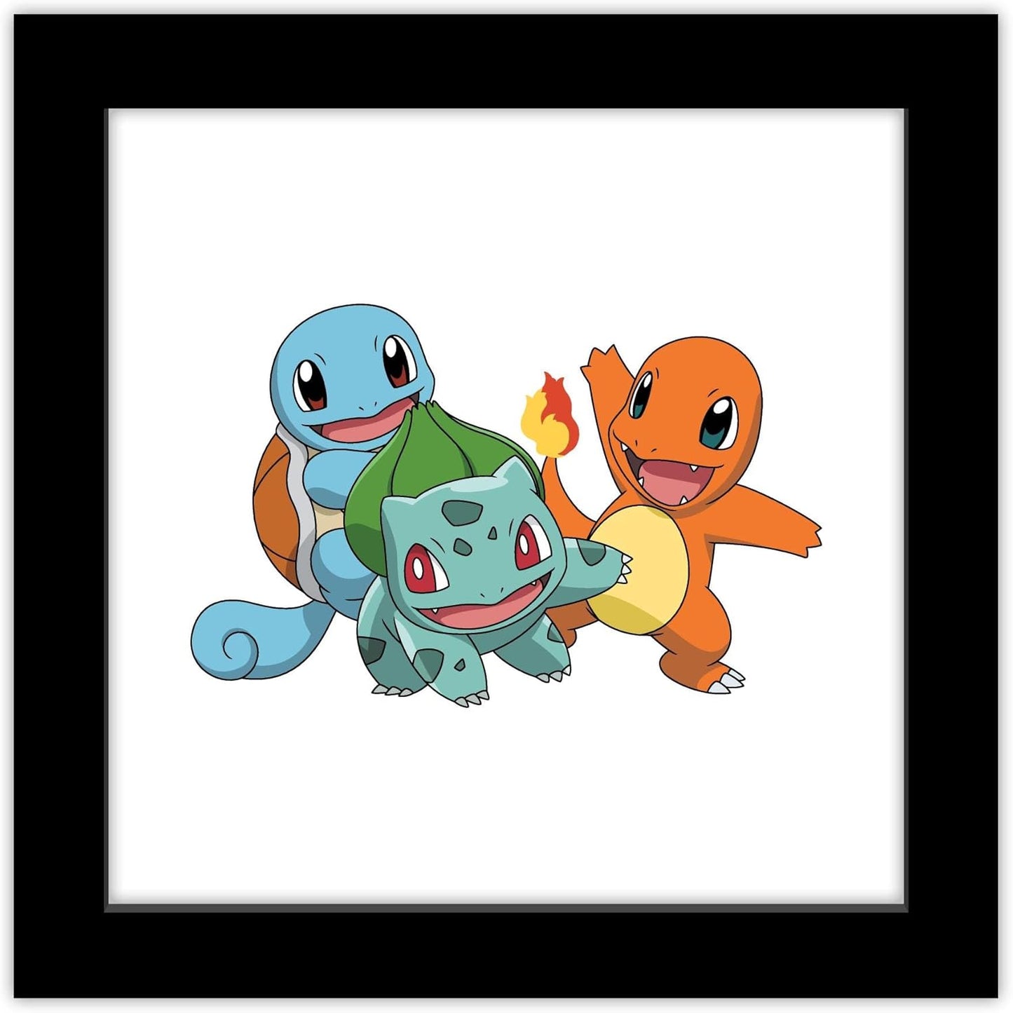 MISC: POKEMON FRAMED ART
