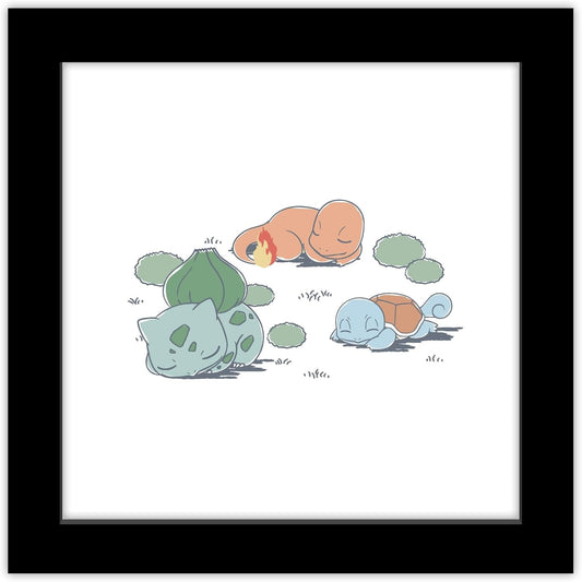 MISC: POKEMON FRAMED ART