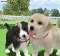 WII: PETZ DOGZ 2