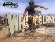 PS2: TONY HAWK AMERICAN WASTELAND