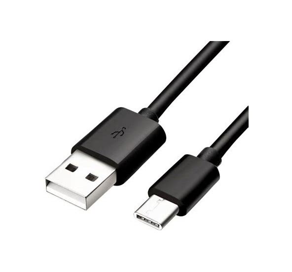 NS: CHARGER CABLE FOR SWITCH